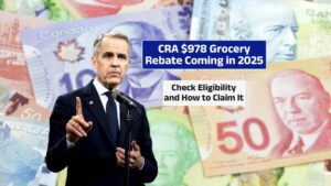 CRA $978 Grocery Rebate Coming in 2025 – Check Eligibility & How to Claim It!