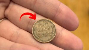 What Is the Lincoln Wheat Penny?