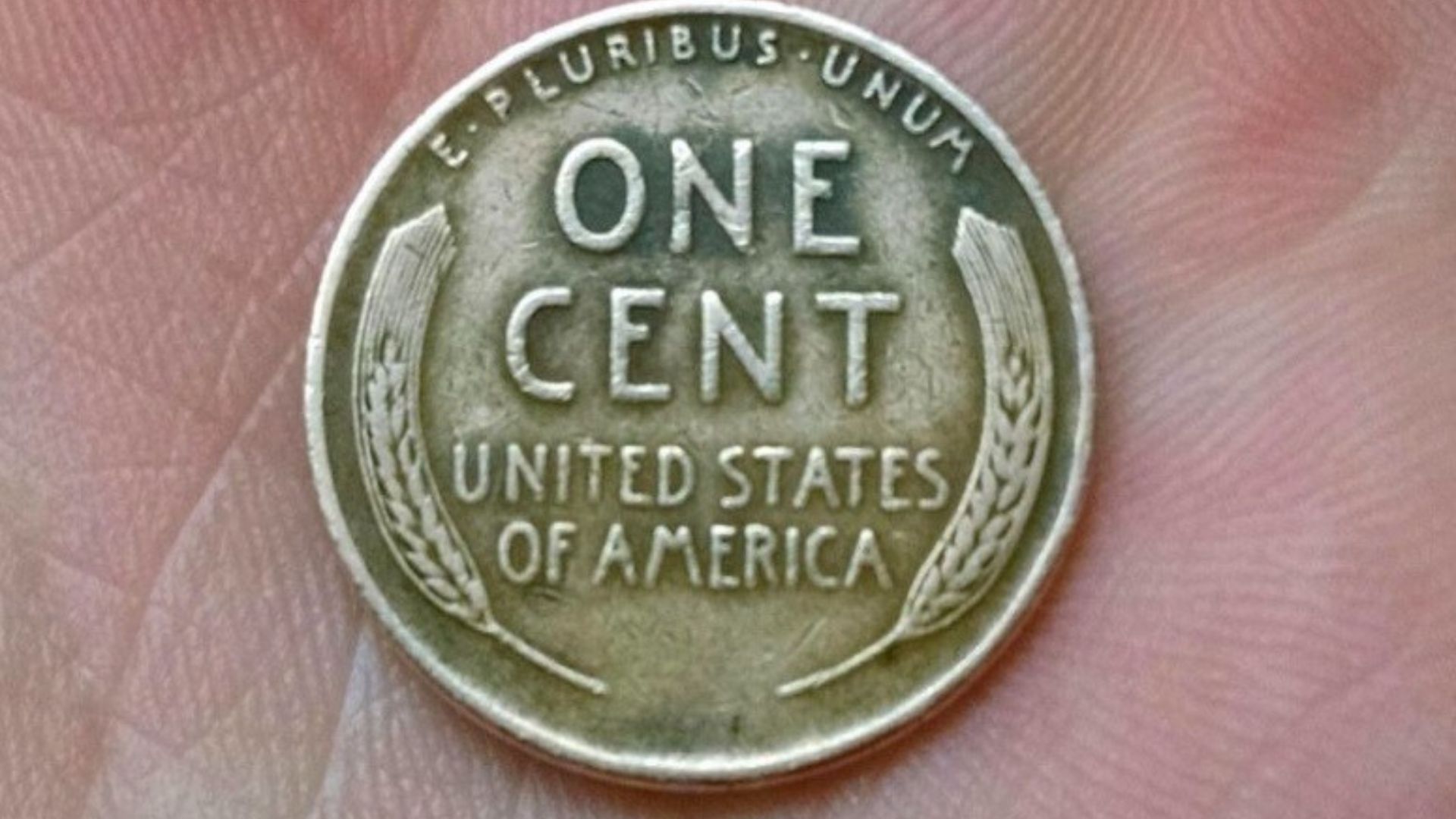 The Search for the $5 Million Lincoln Wheat Penny