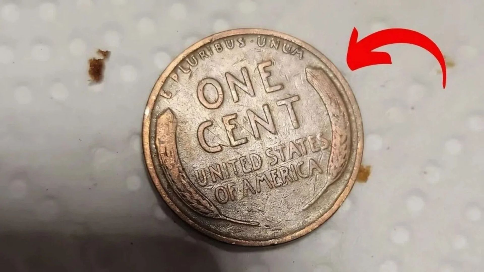 The Search for the $5 Million Lincoln Wheat Penny